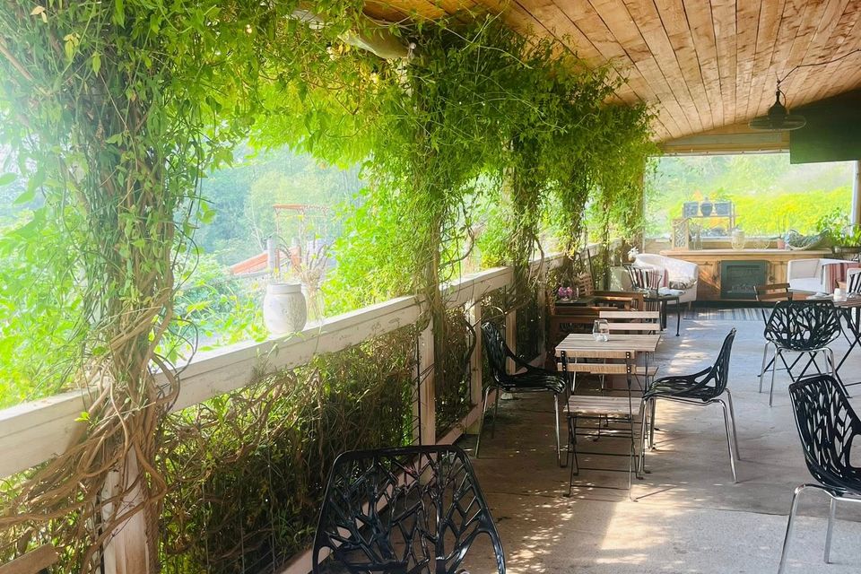 Lavenderatstillewatereventsoutsidesunny