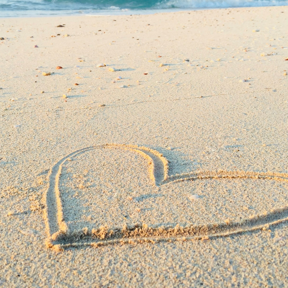 Screenshot 2026 01 12 at 8.02.16 pm