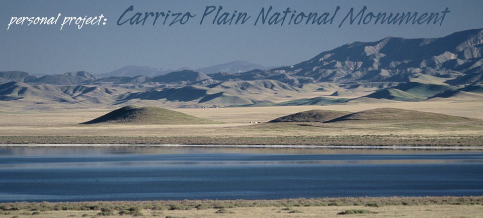 Carrizo plains gallery20130128 12675 1qd7uwo 0