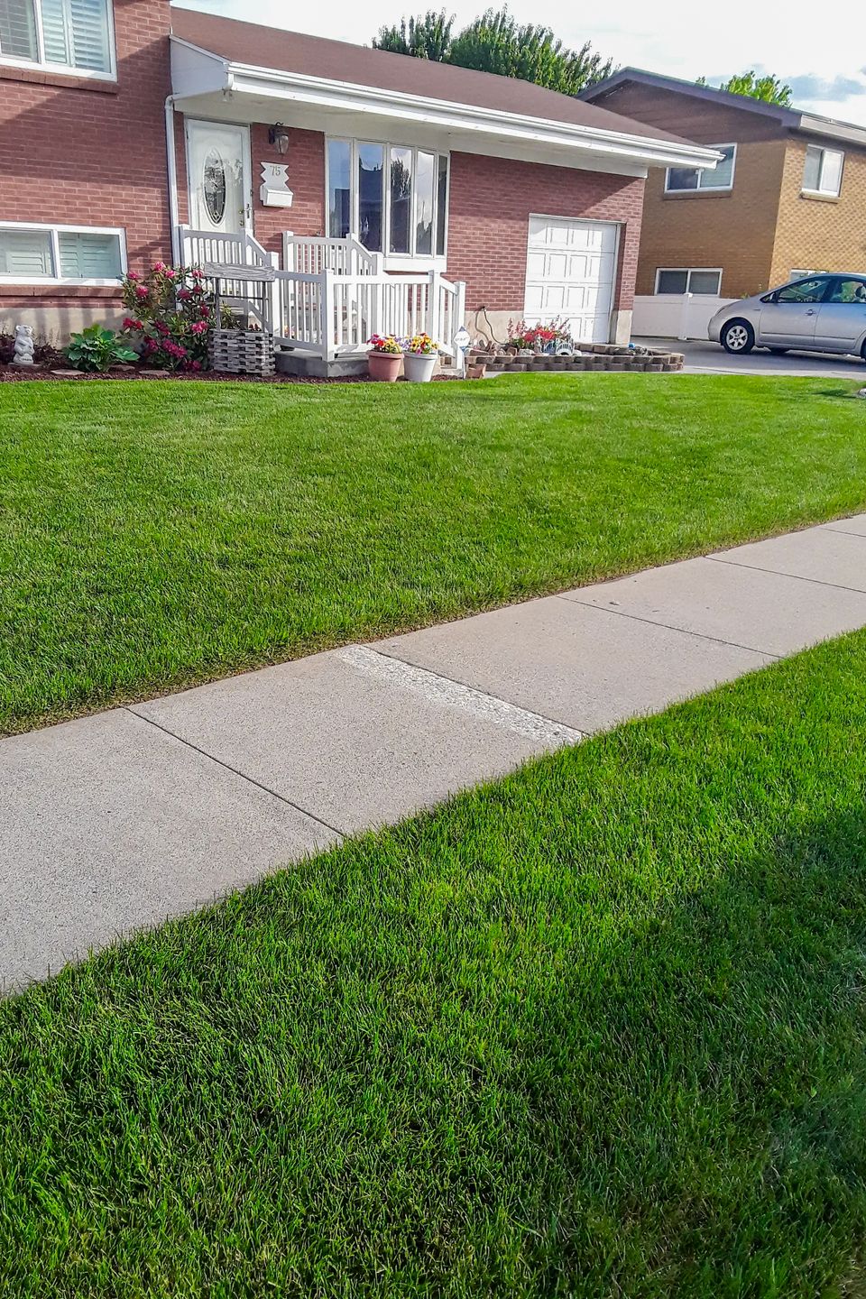 Professionaly cared for lawn in salt lake city ut