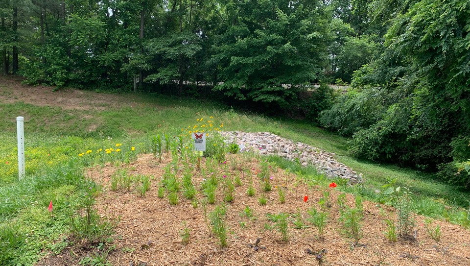 10. stormwater