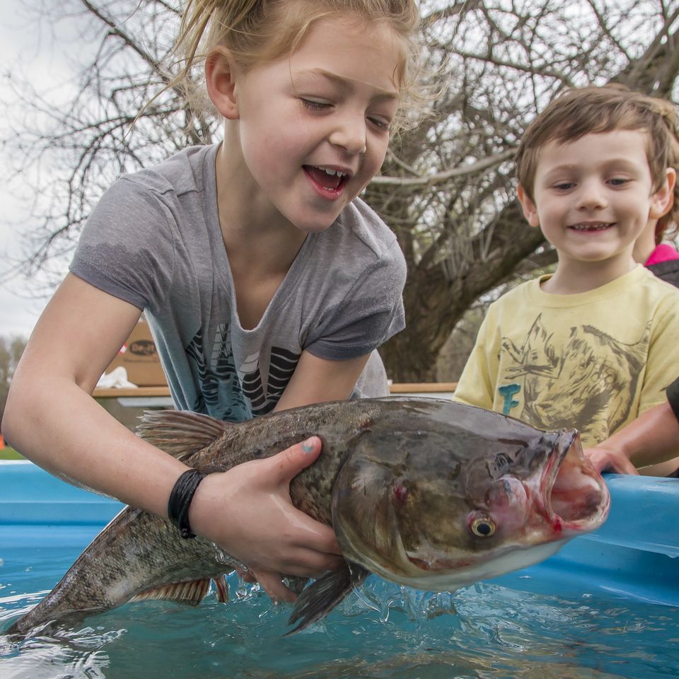 Fishing derby 2016 24