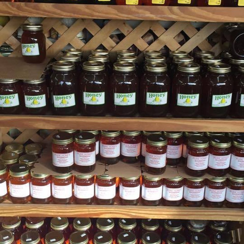 Kings jelly 220170522 3559 xtarg