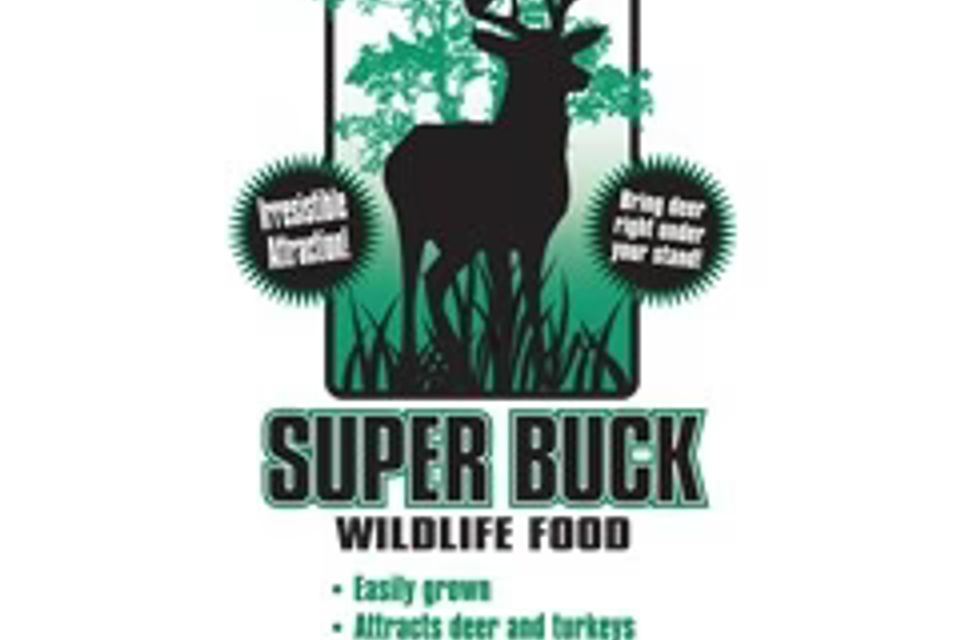 Super buck statewide service center