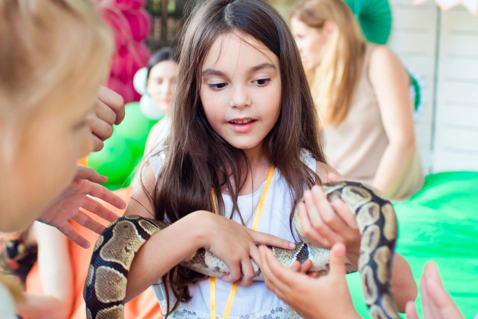 Mobile Petting Zoo Parties