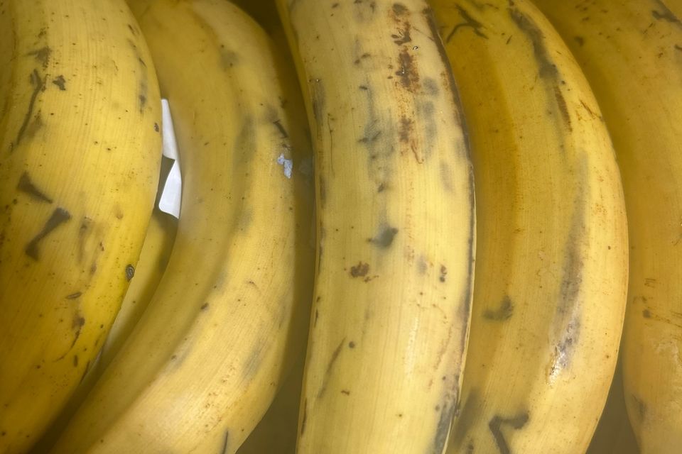 793203705 1773745931864