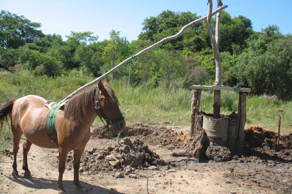 Agritecnico26