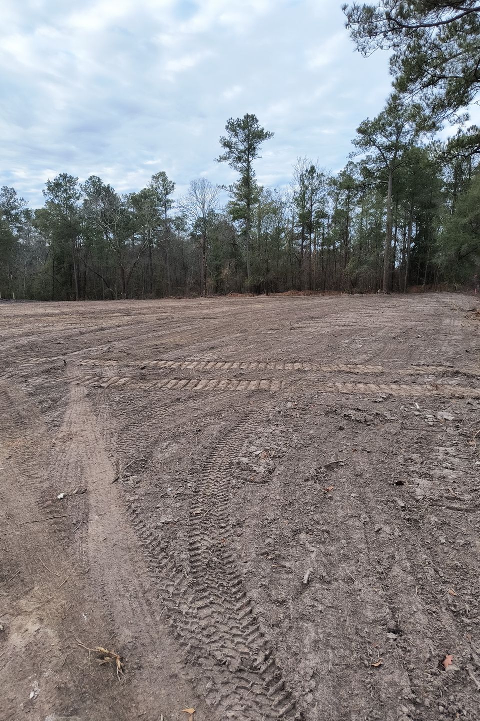 Img 20240124 081408706