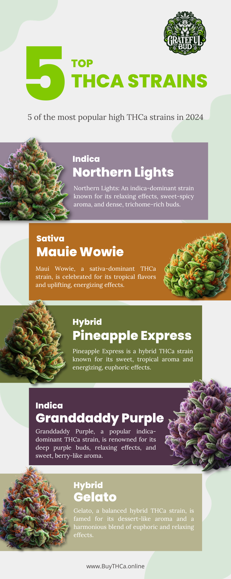 Top 5 thca flower strains infographic