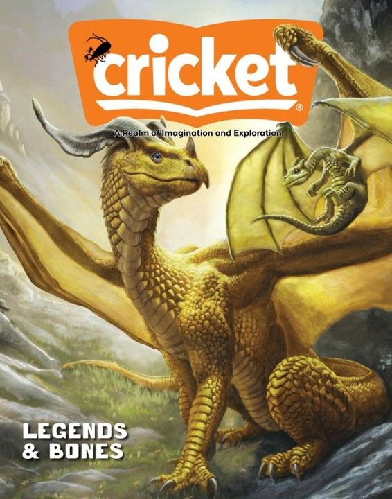 Platinum tier magazine   cricket
