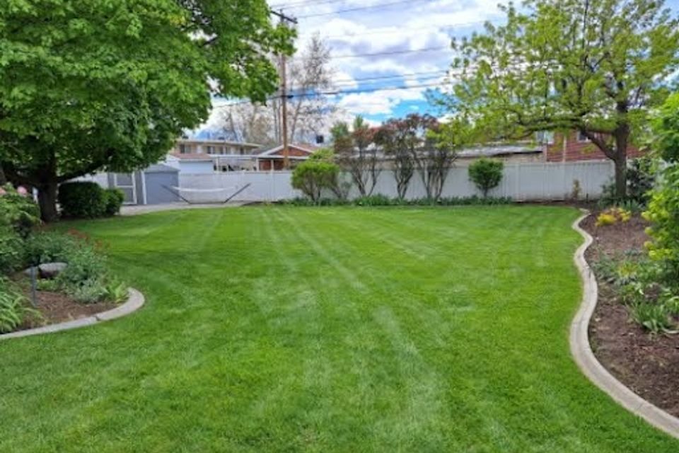 Beautifully maintained backyard in summer