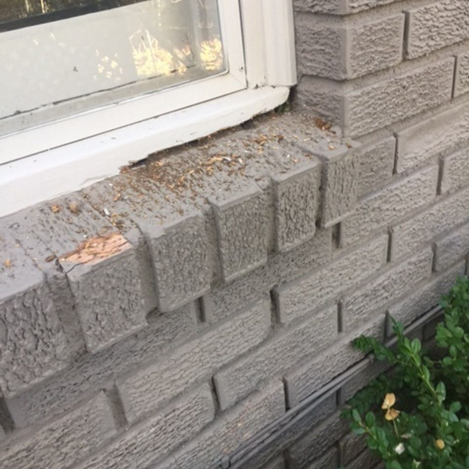 Wood rot repair specialists   window sill   img 307520170317 6169 1orbpti