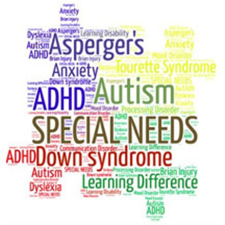 Aa special needs pic