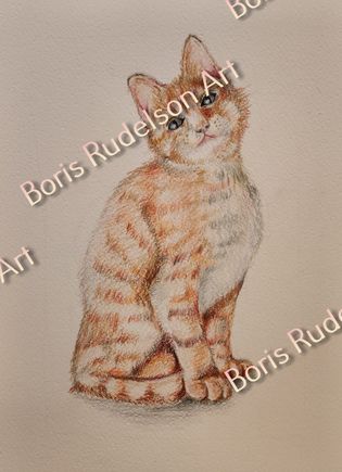 Red cat