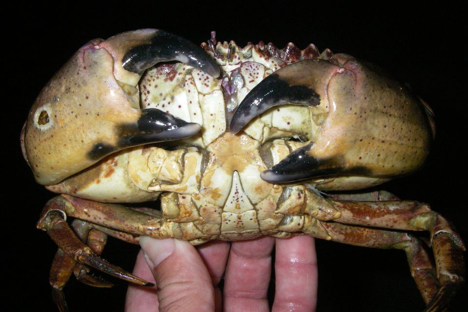 November 16  2012 010