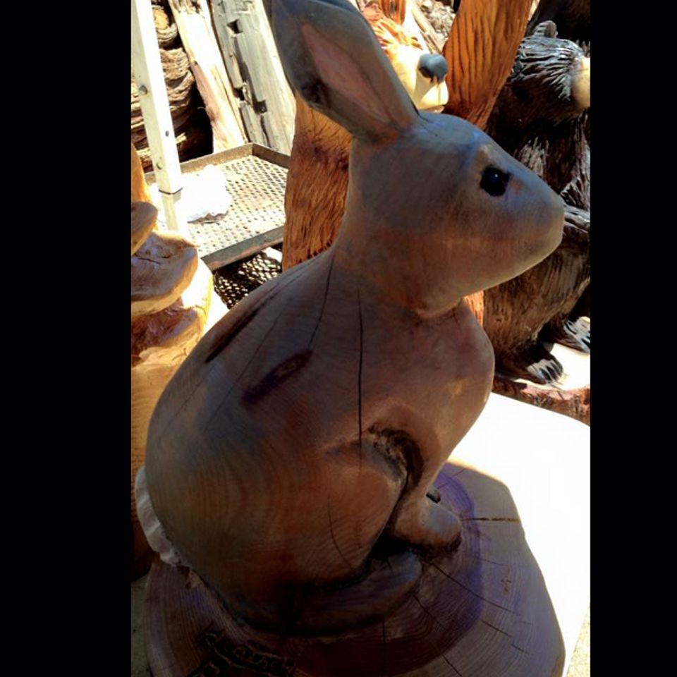 Rabbit
