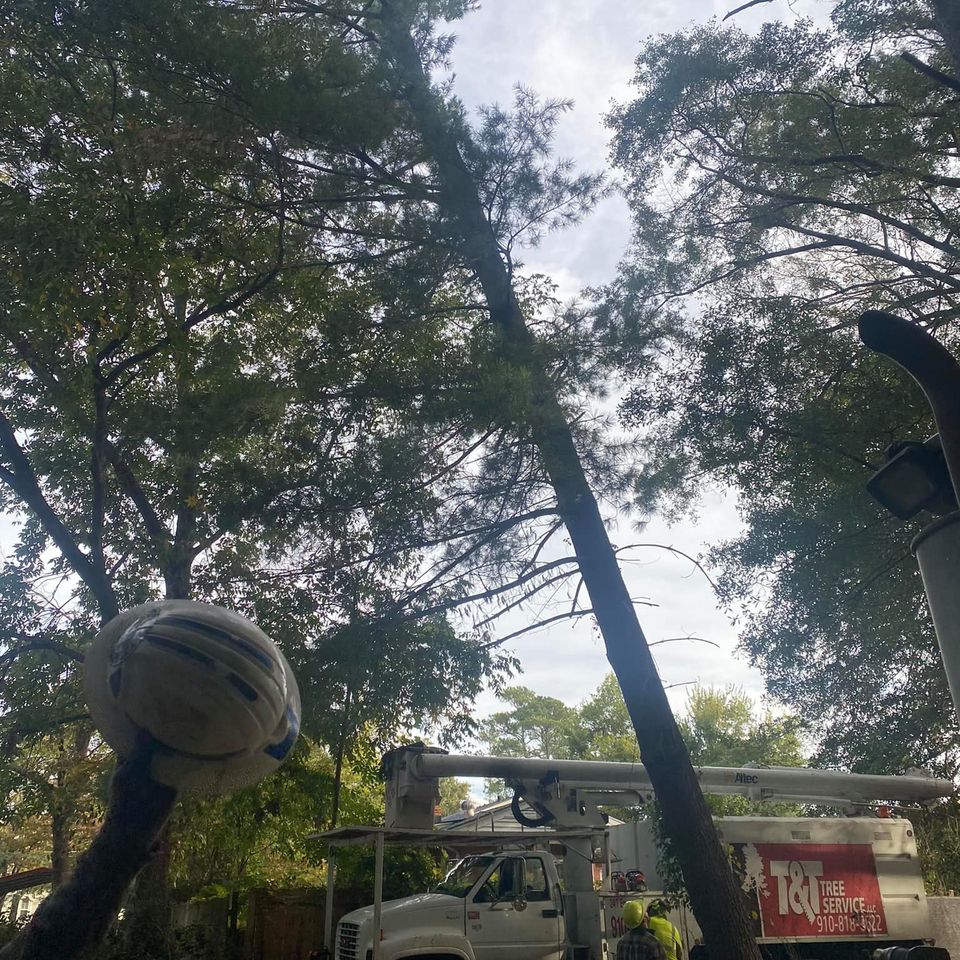 469182854 1491394694857336 1186819033407198464 n