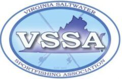 Cropped cropped vssa logo half