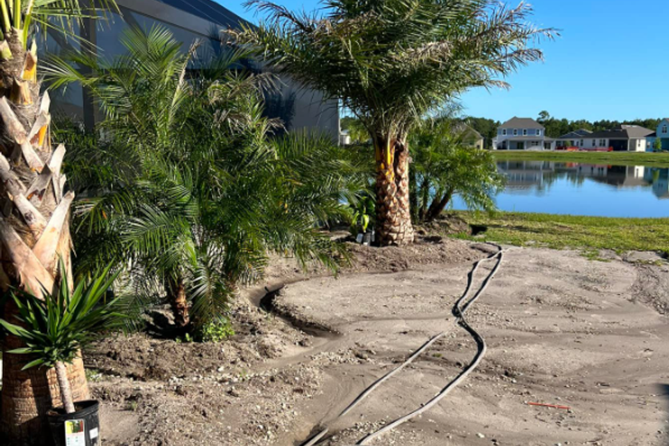 Screenshot 2025 10 20 081544