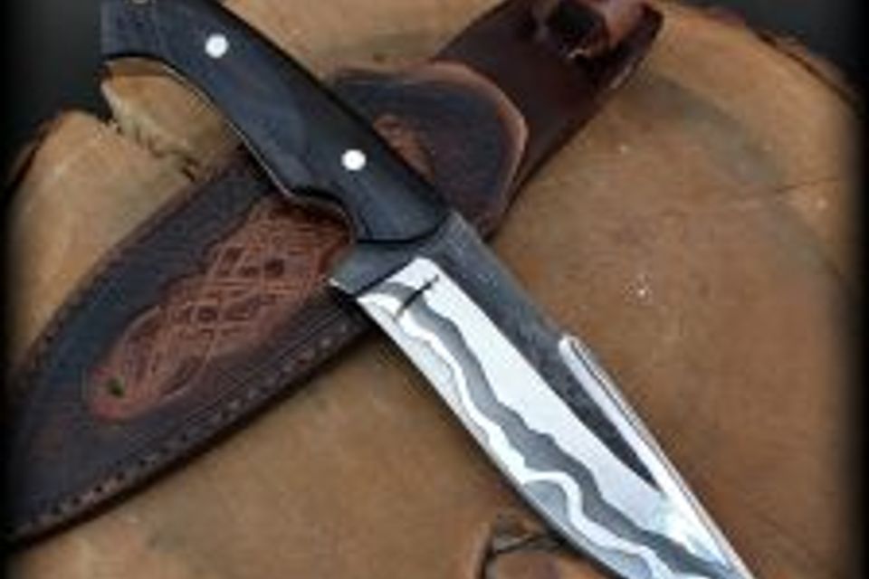 D0102hpdexa