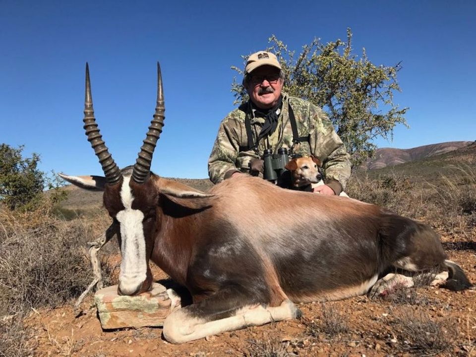 Bontebok1