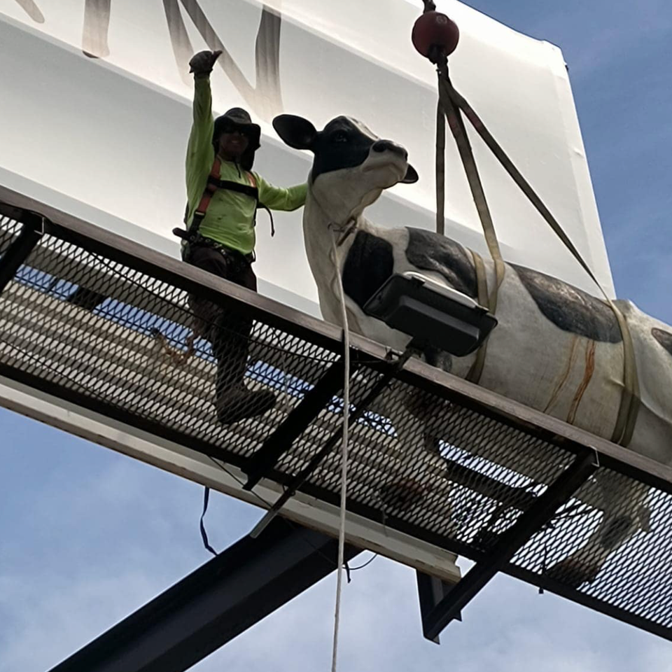 Lg crane services in action