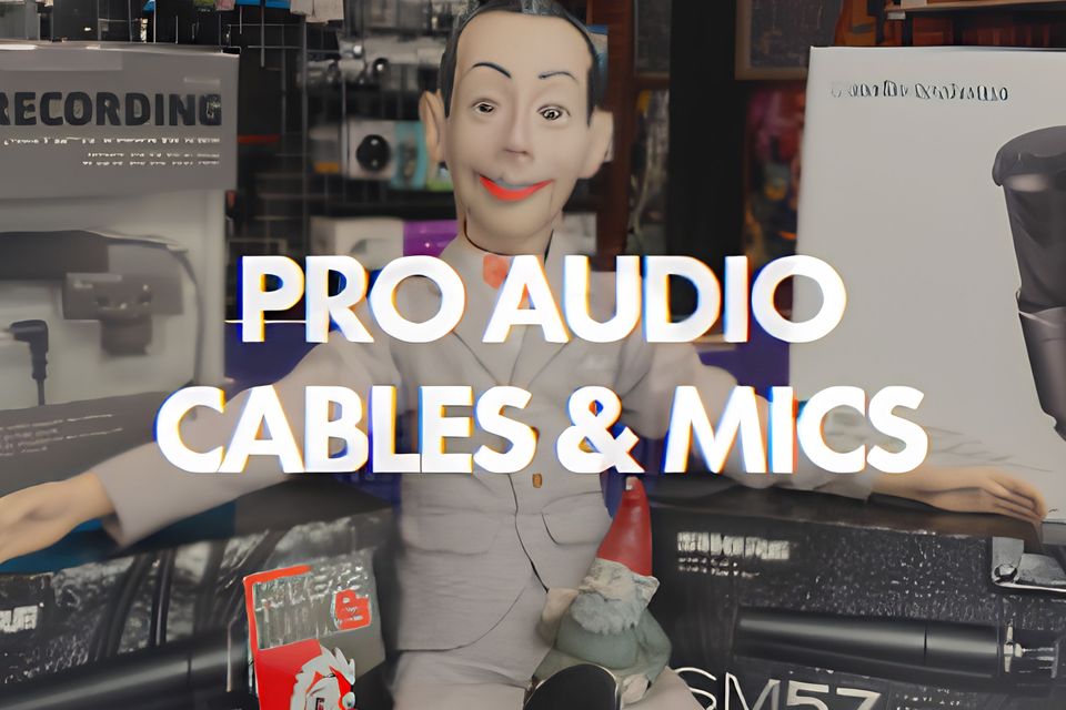 Pro audio cables & mics