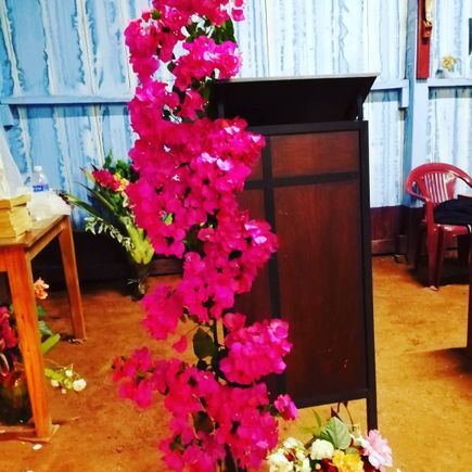 Pinkflowers