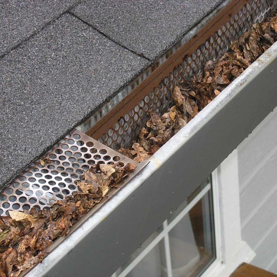 Gutter guard ipswich 2434467 960 72020180226 24465 7rsyw5