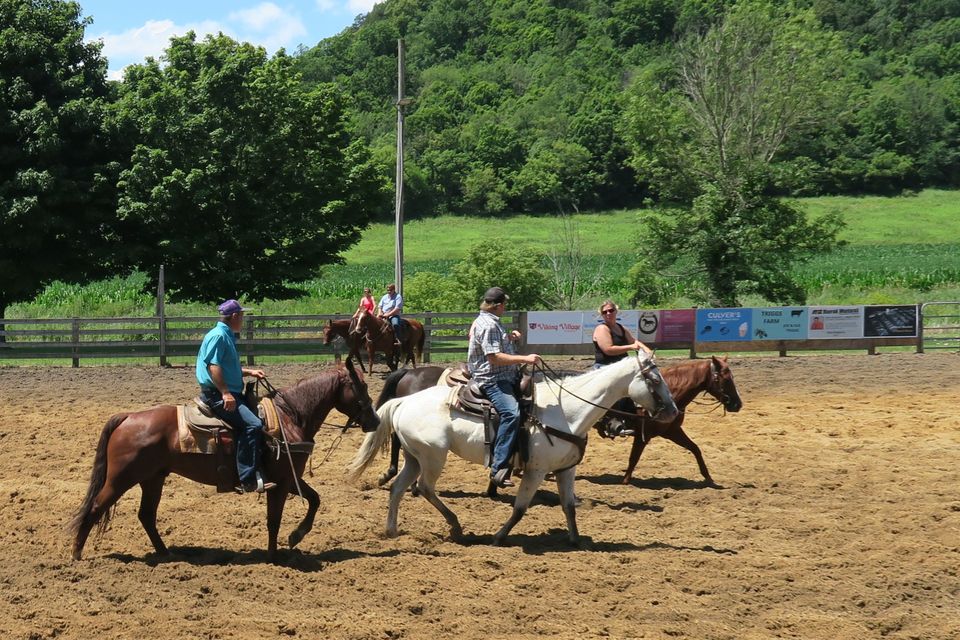 Horse arena