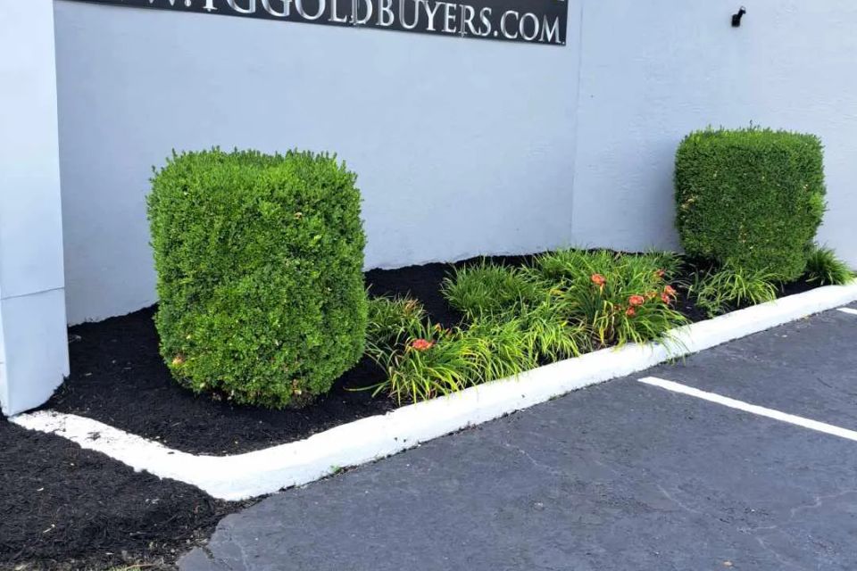 Fresh black mulch installed around shrubs outside a commercial building.