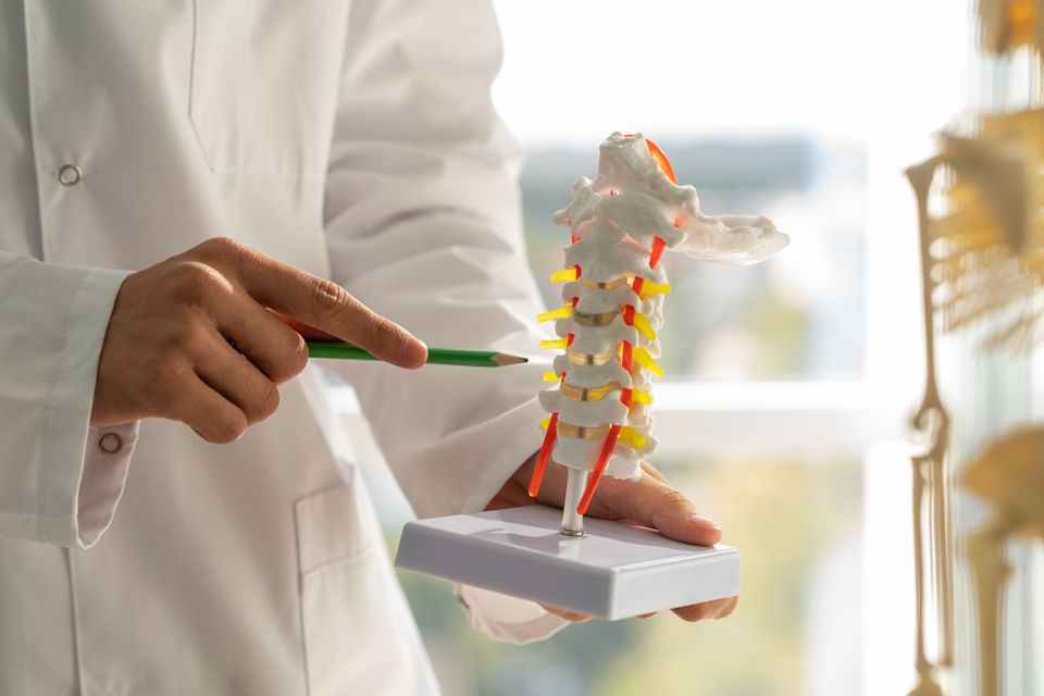 Spinal Adjustments