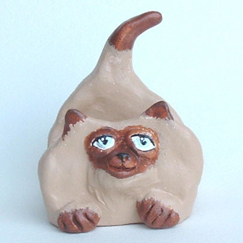 Siamese cat