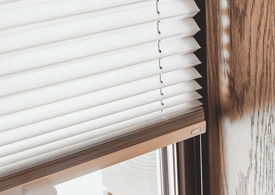 Untitled design (55)