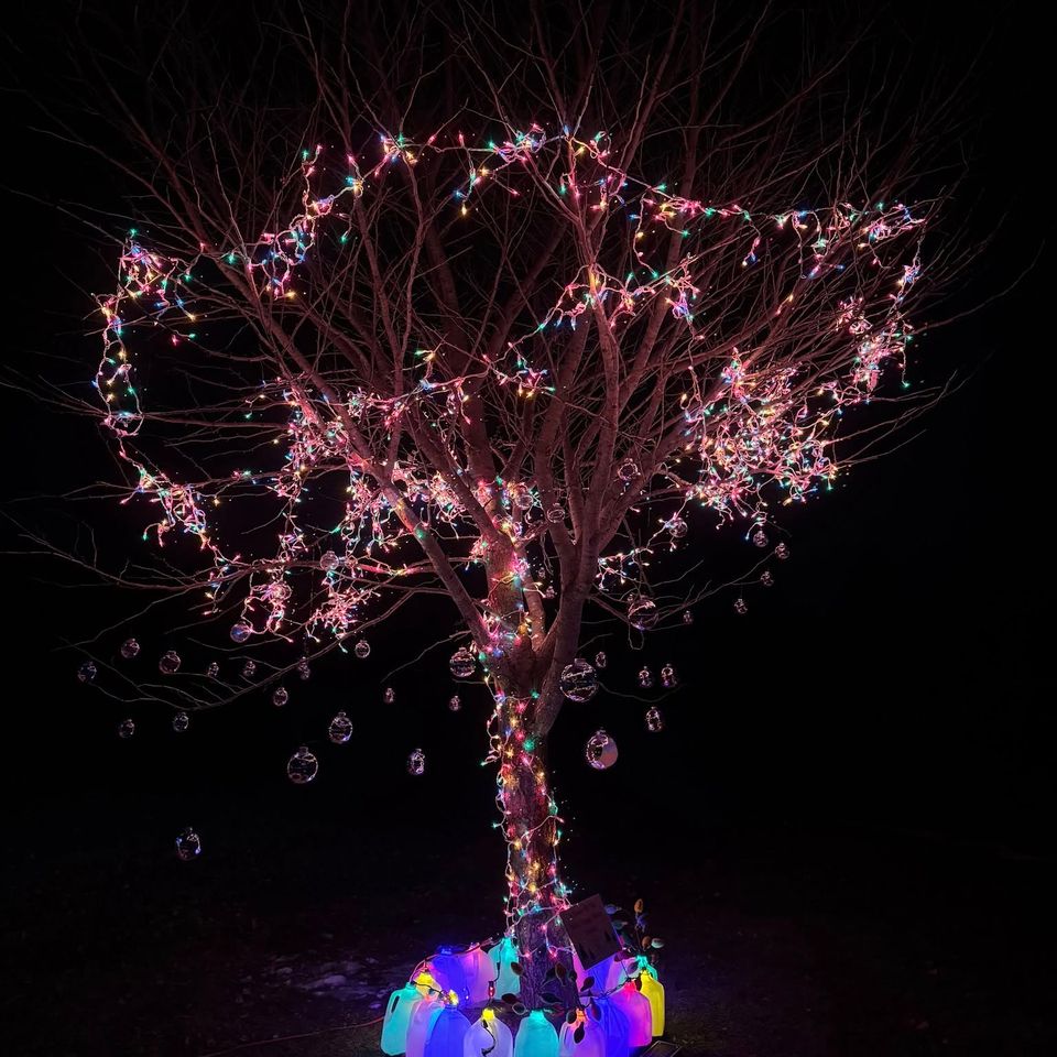 489246132 1066334608854231 7983642027660789264 n