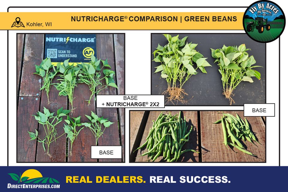 Fly by storyboards 20251230 2