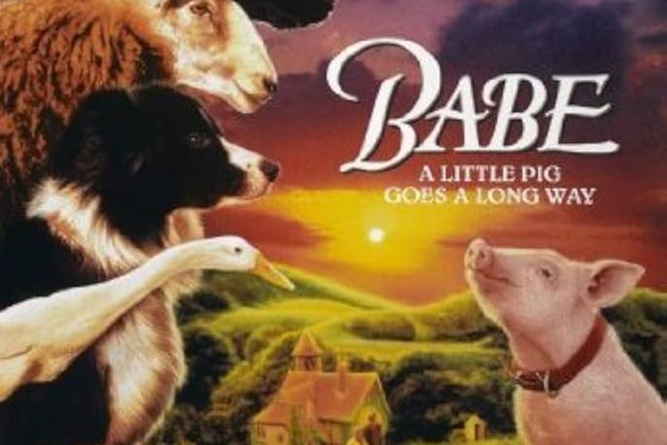 Babe