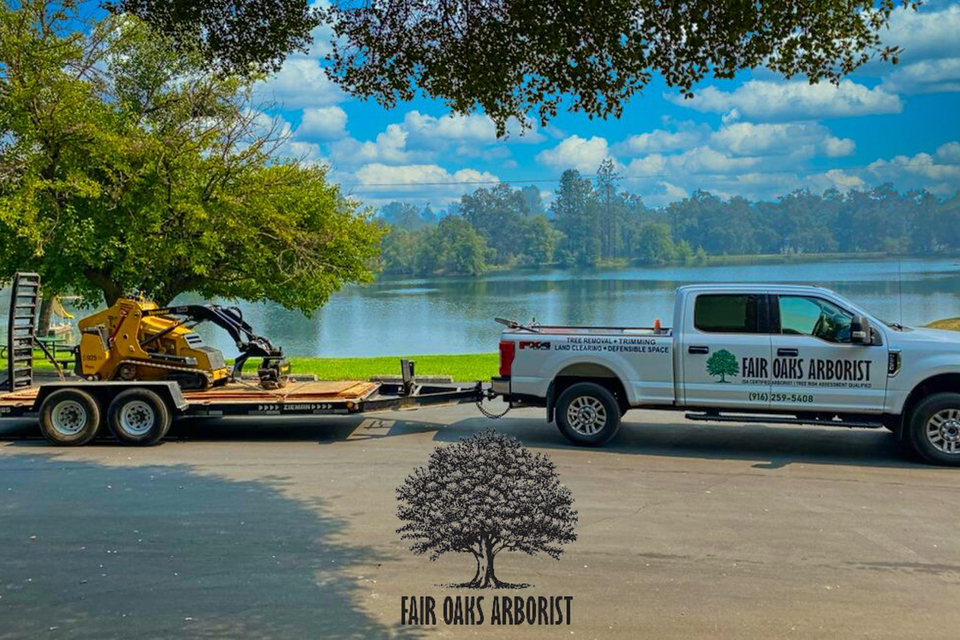 Fair Oaks Arborist work truck and equipment trailer parked near a lake, ready for tree removal services