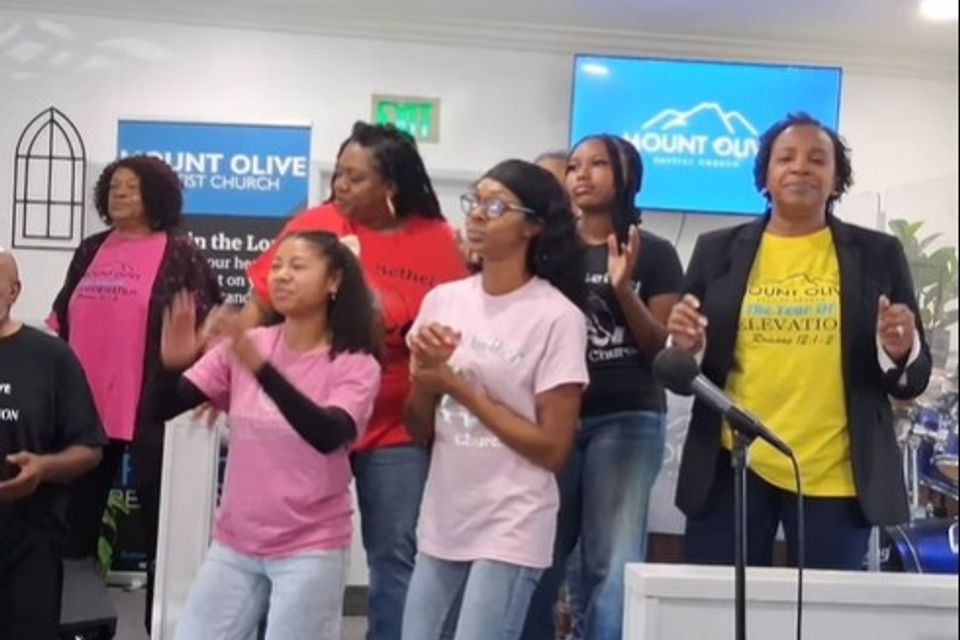 Mt olive 3