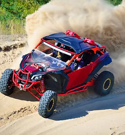 Istockphoto 1988307891 612x612