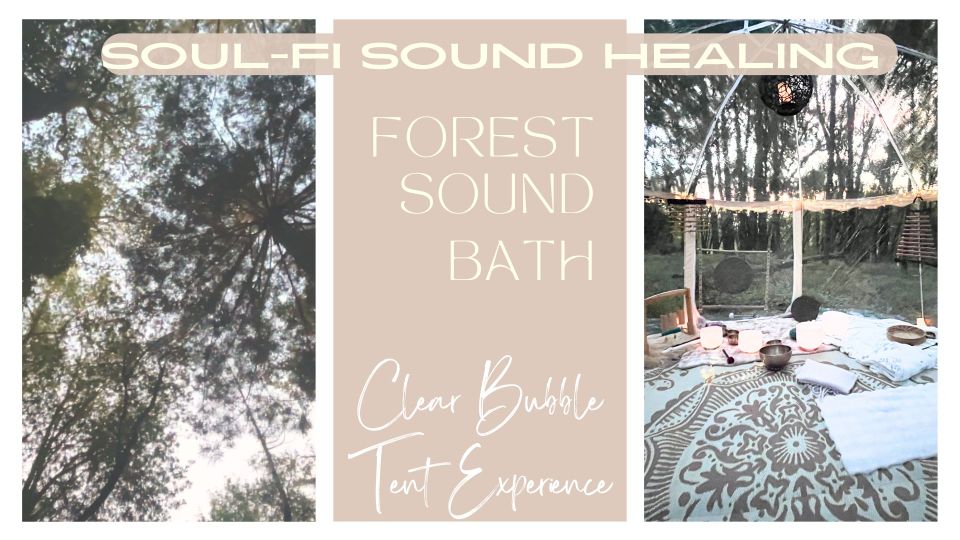 Forest sound bath (1)