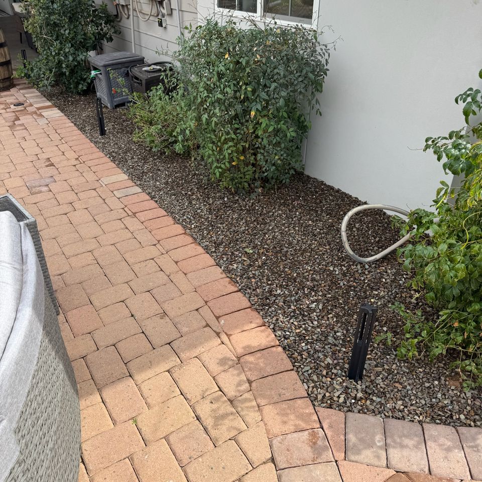 Img 3755