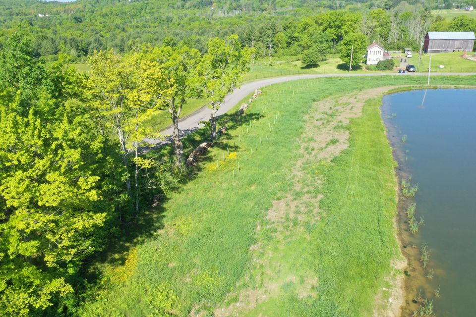 2025 arial drone looking west south side of pond