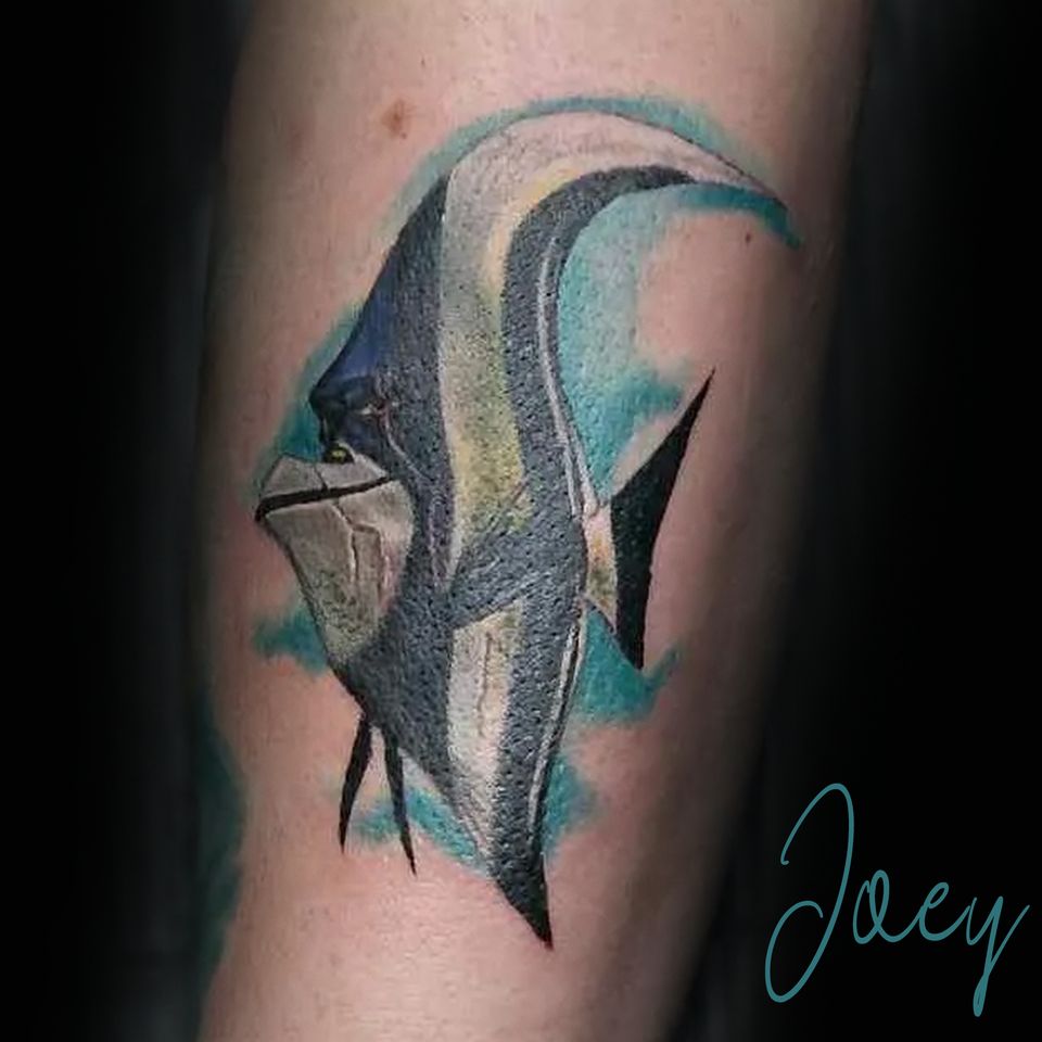 Joey fish