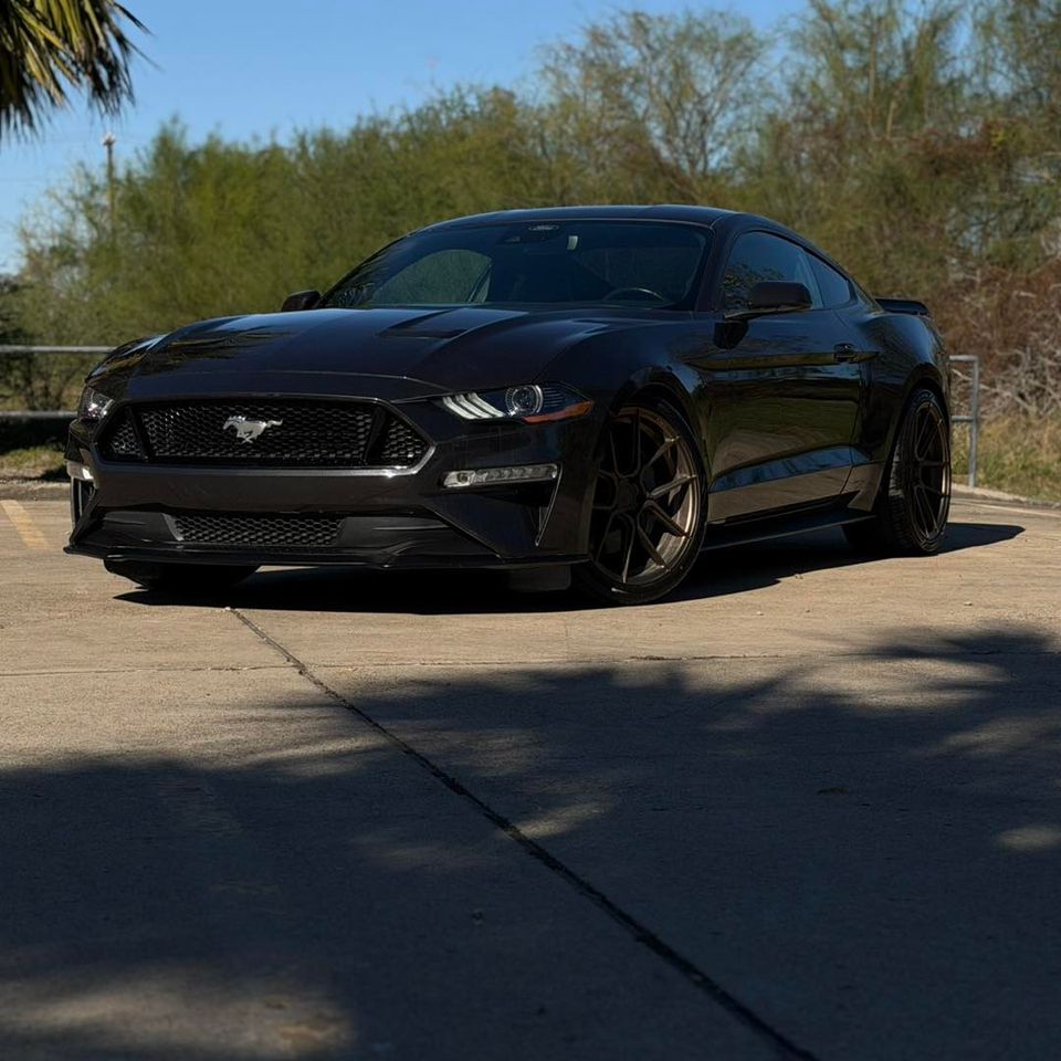 611151020 1310110874465570 6937997137918027000 n