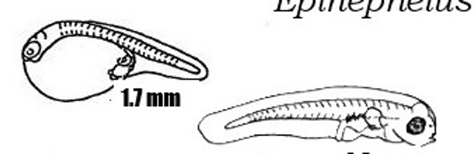 Screenshot 2025 10 15 141010