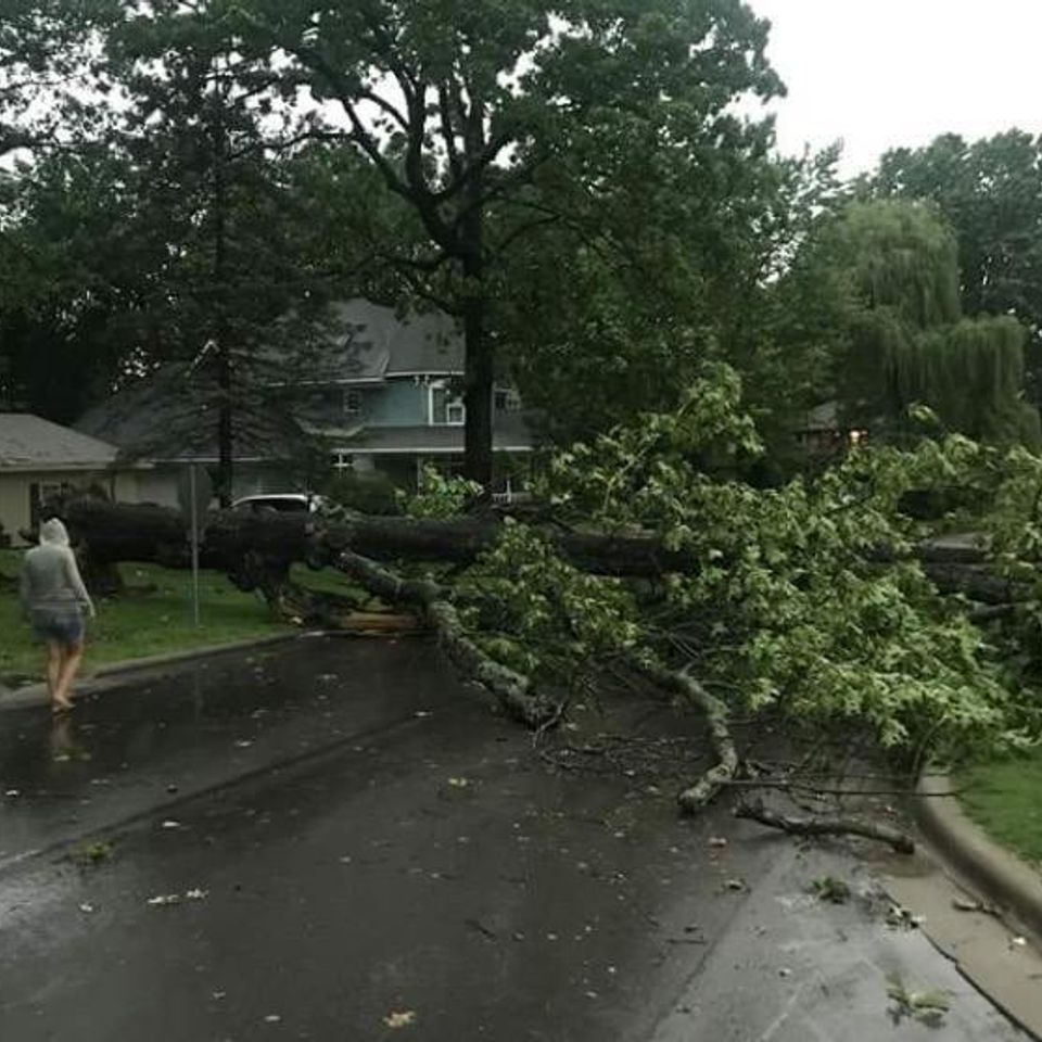 Storm cleanup