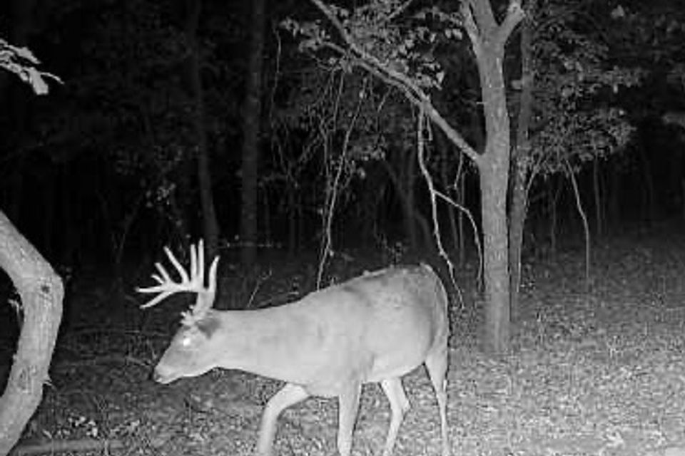 Img 2201