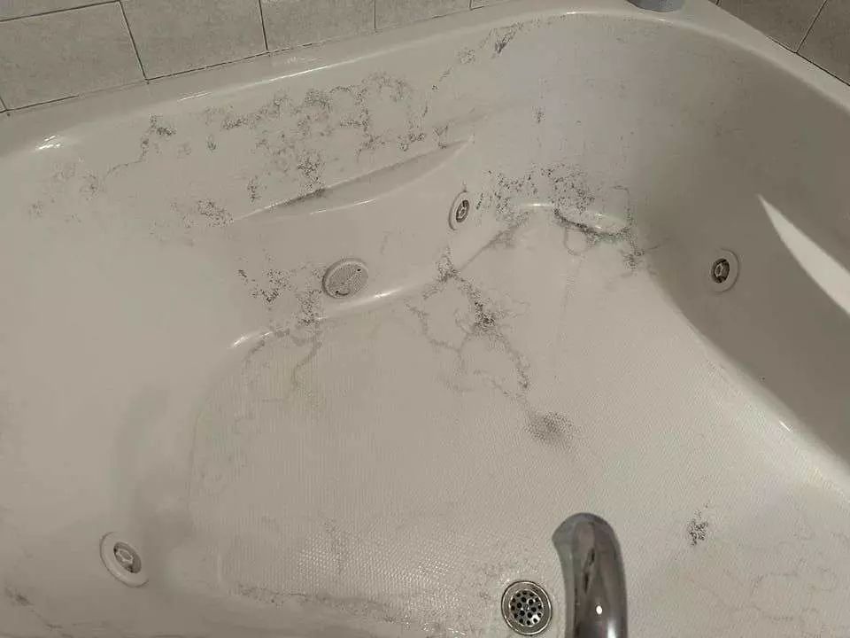Mendota bath tub services
