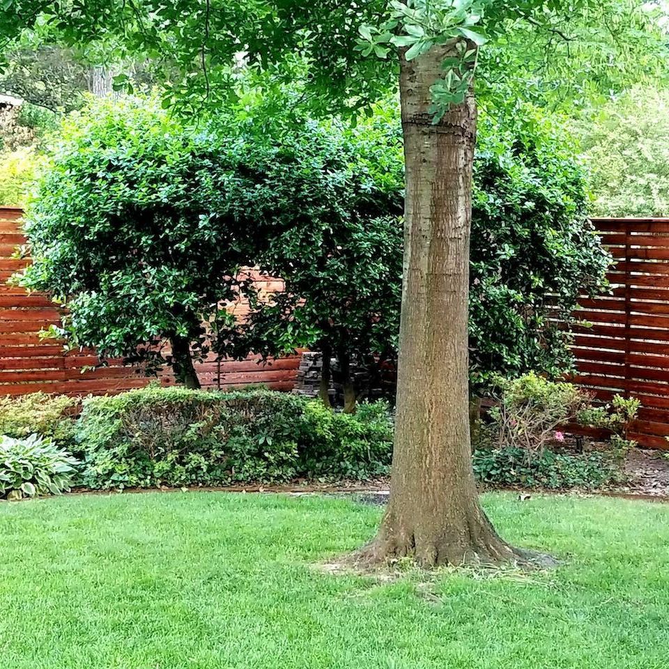 American fence staining  tulsa oklahoma  professional local wood privacy fence cleaning and staining service company  20190525 000340 web